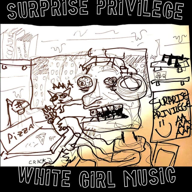 Photo de Surprise Privilege - Artiste