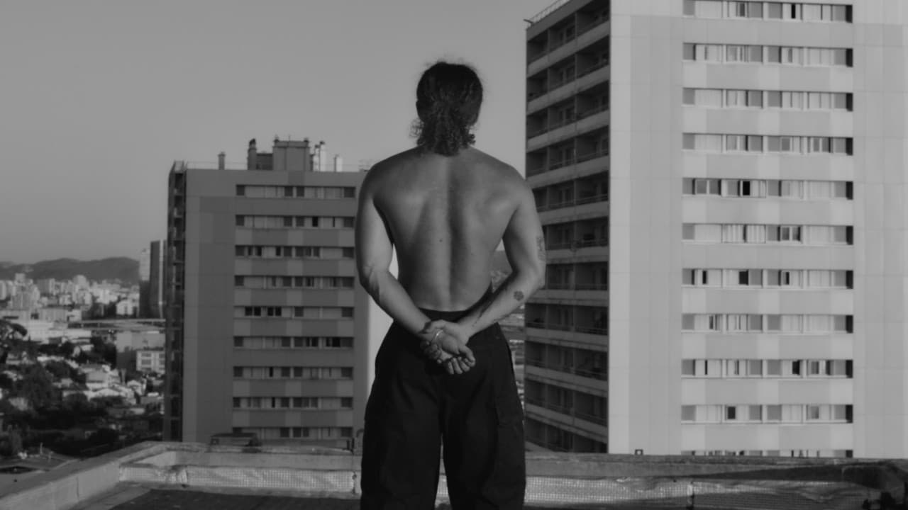 Été solitaire (SABR) par Zamdane - Clip rap et hip-hop