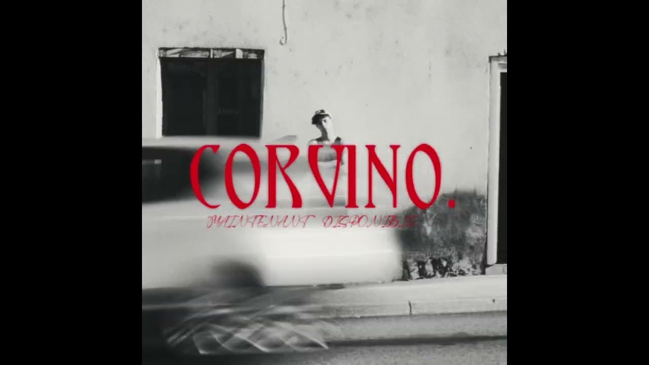 CORVINO par Meryl - Clip rap et hip-hop